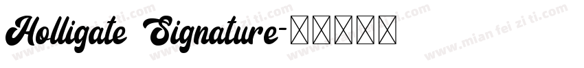 Holligate Signature字体转换